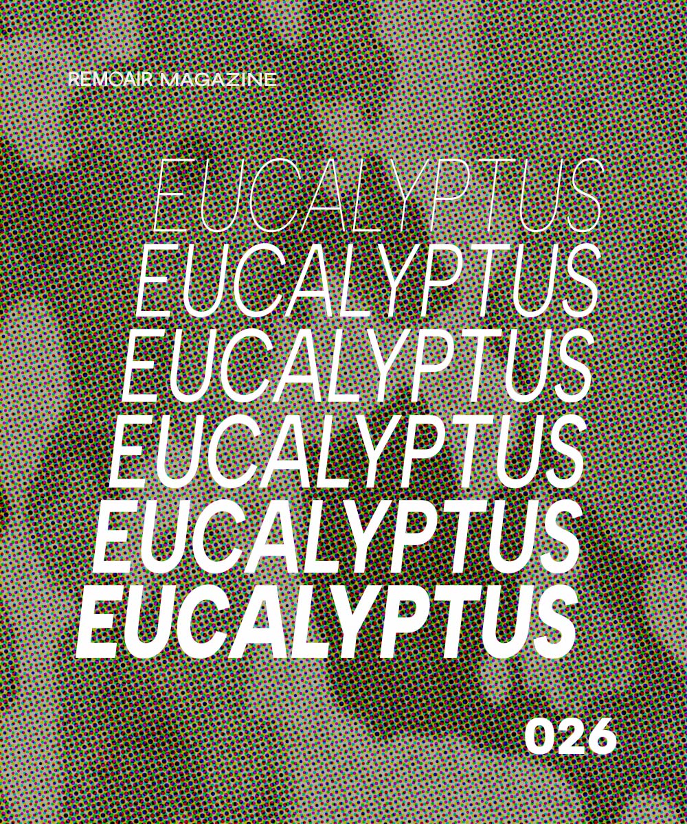 026. Hur doftar eucalyptus