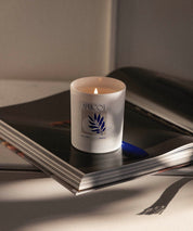 Apricot - scented candle