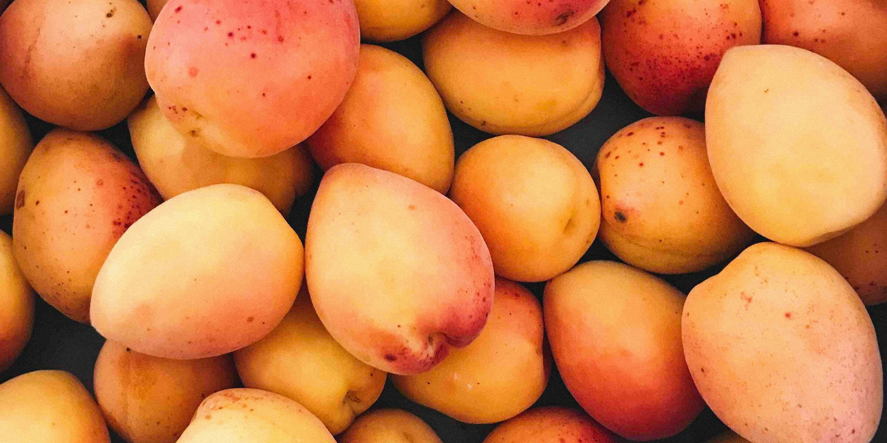 Apricot days