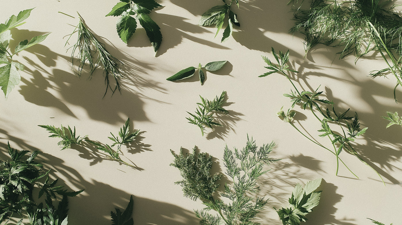 flera timjankvistar liggandes på varandra