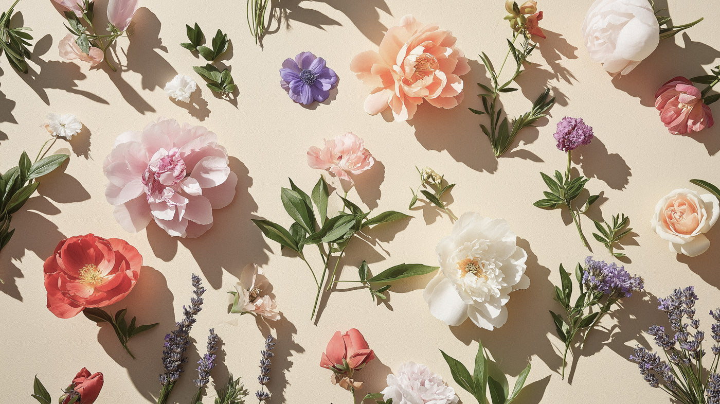 Vita blommor som blommar