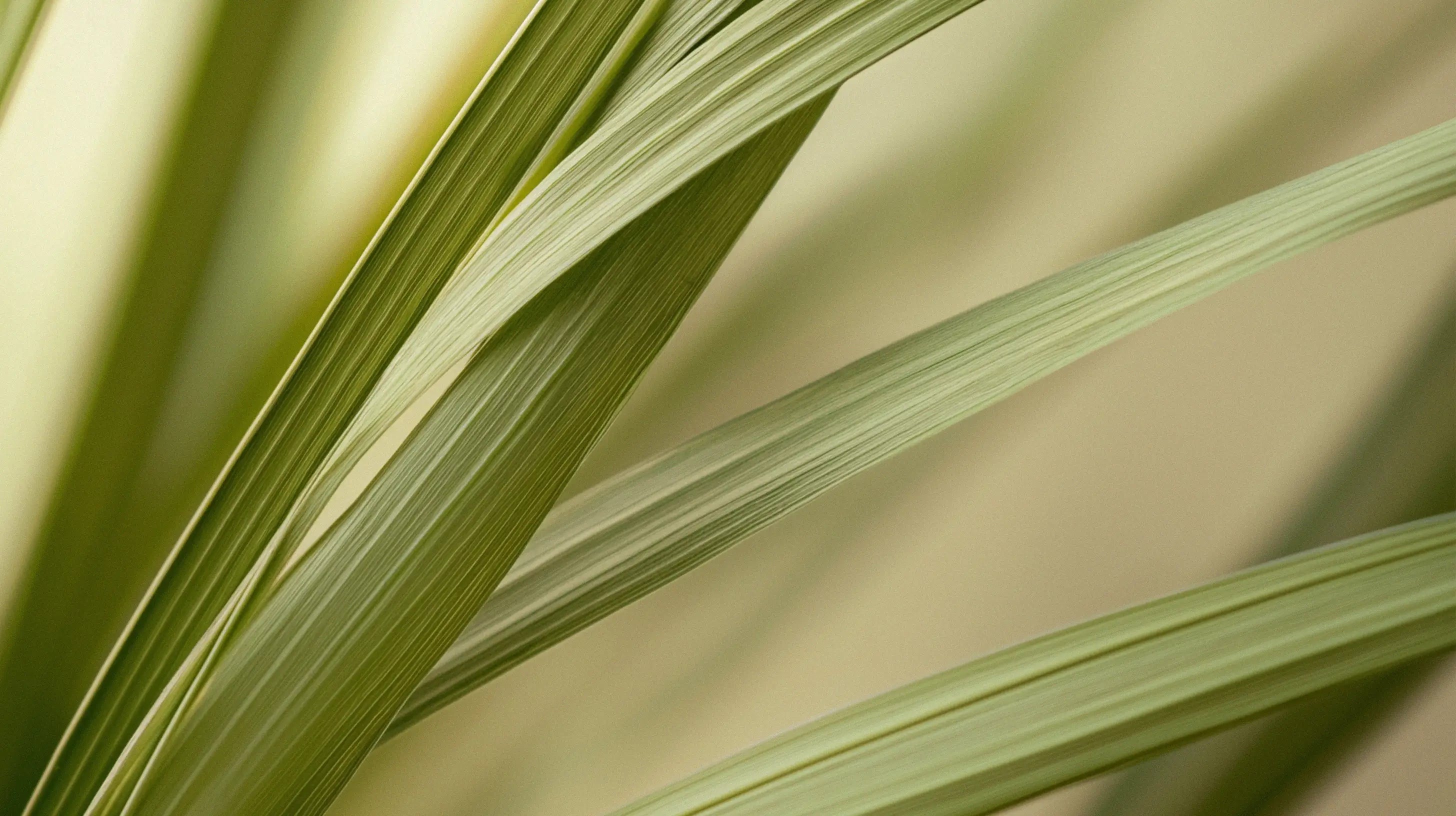 Fresh Cut Lemongrass + Eucalyptus + Citrepel®