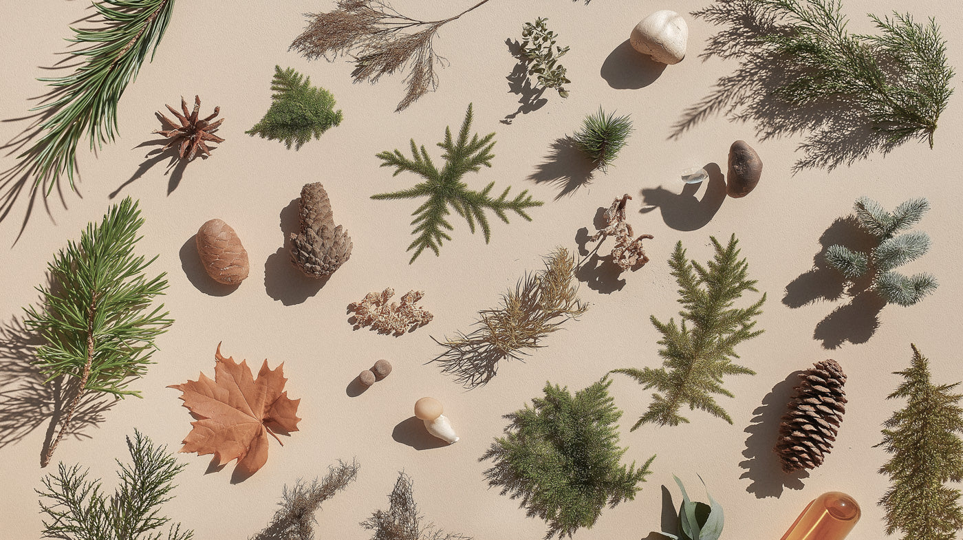 Agarträd som finns i doftnot