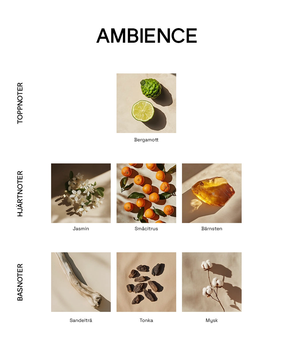 Ambience - doftljus