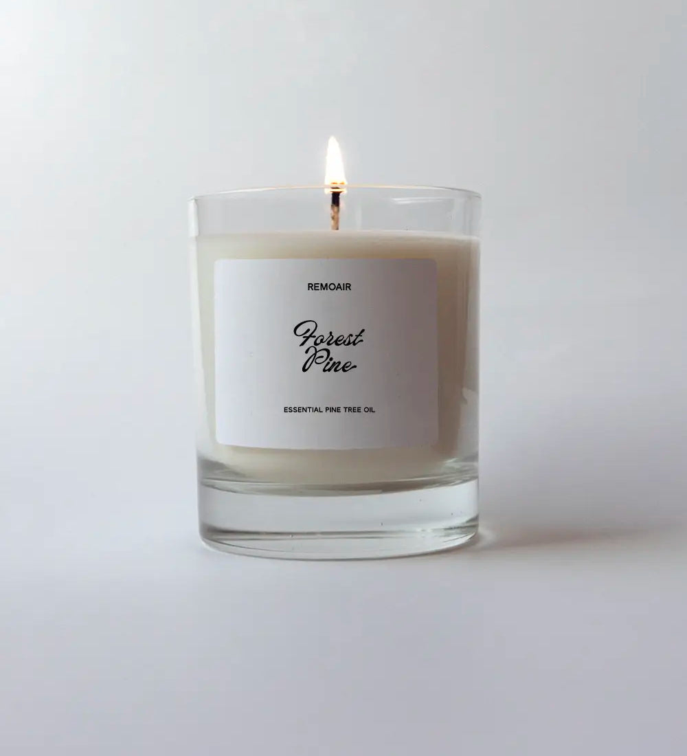 candle-forest_pine-glass.webp