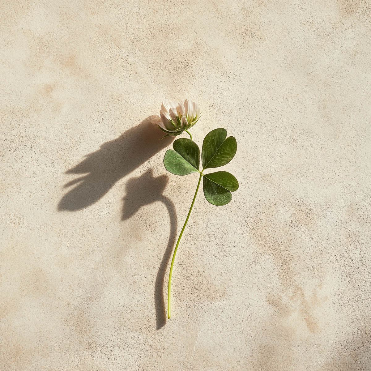 リモエア |ペトリコール 200gr 香り付きキャンドル - ベチバー &amp