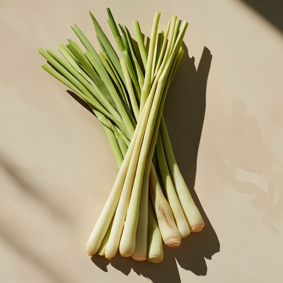 citrongräs i knippe ligger på en slät yta