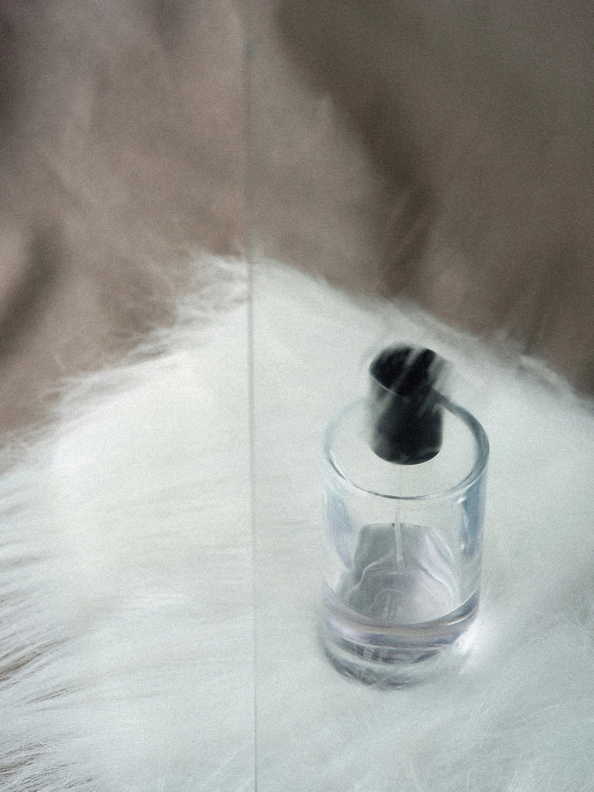 fragrance-img-tonka.webp