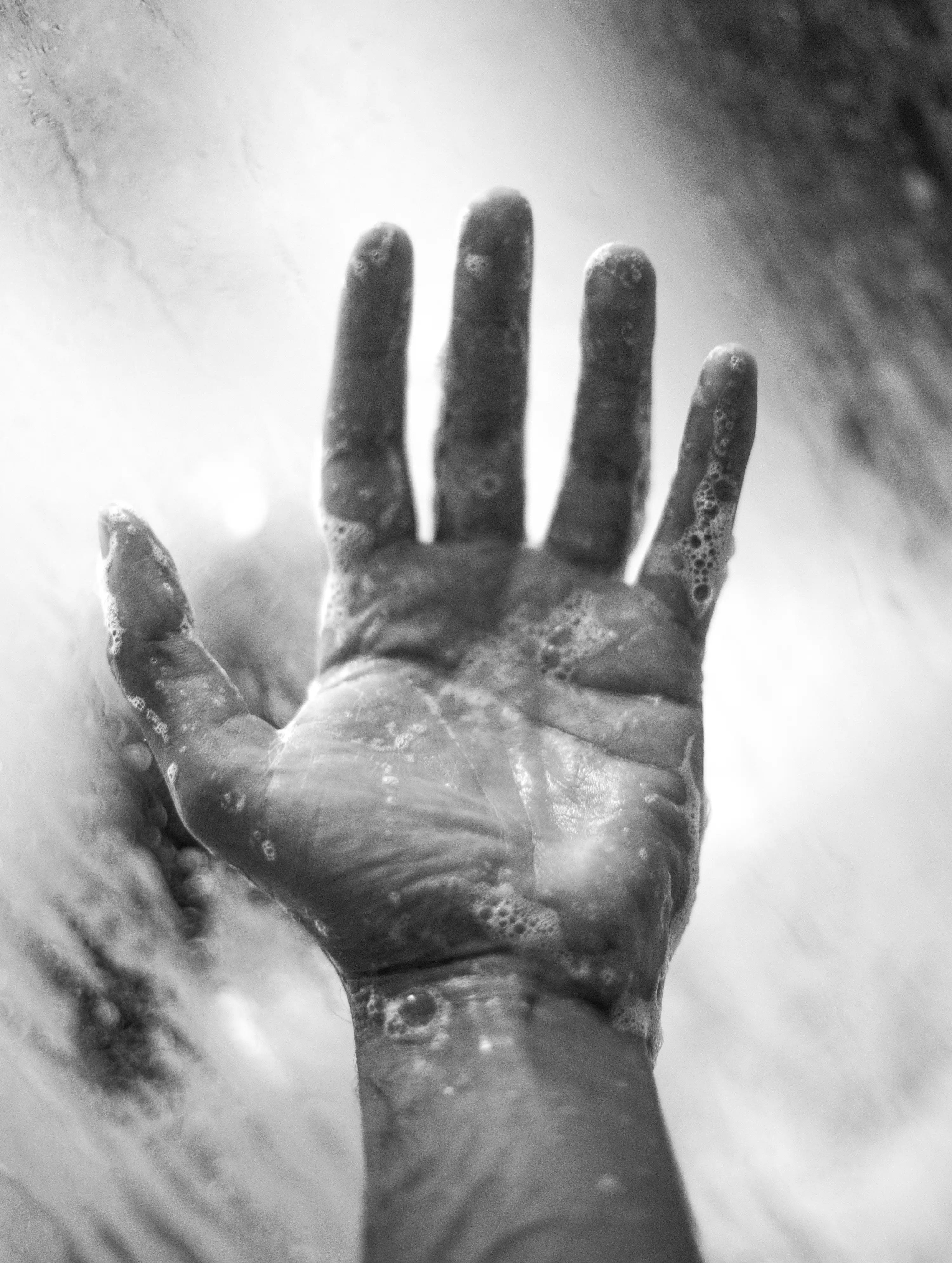 Hushed Cedar Peppermint - Hand & Bodywash 490mL