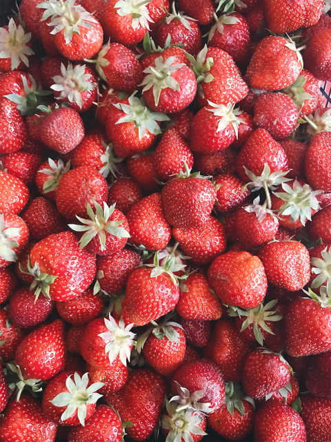 bild på massa jordgubbar