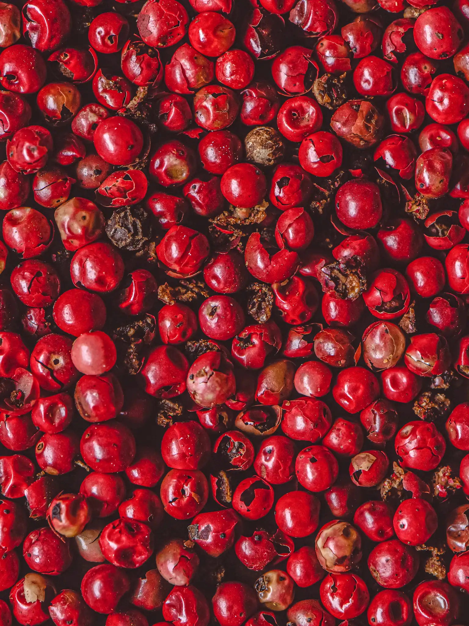 bild på hundratals rosépepparkorn