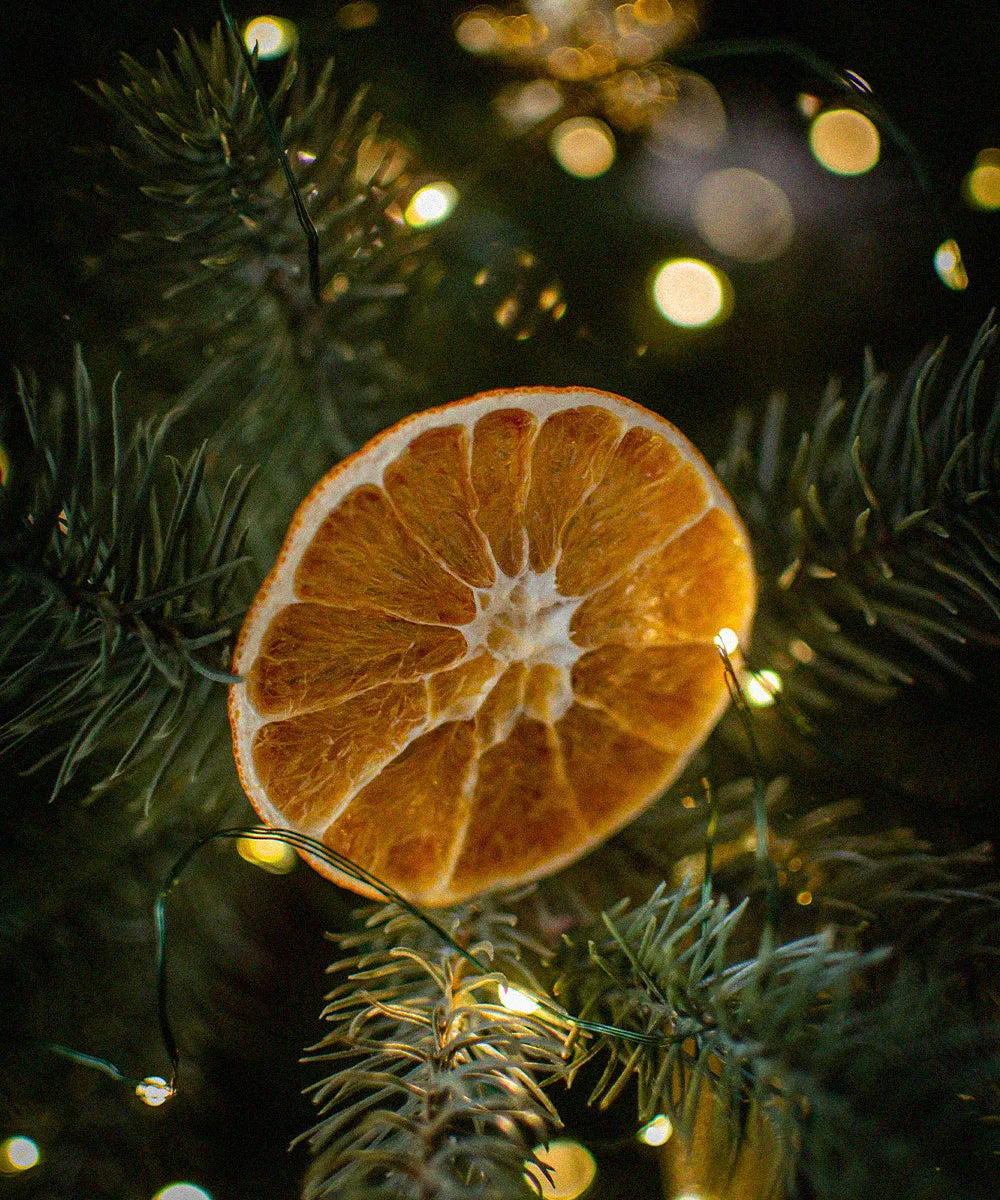 spiced-orange-feel.webp
