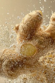 Sweet Ginger Aura - Hand & Bodywash 490mL