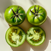Tomato - doftljus (2025)