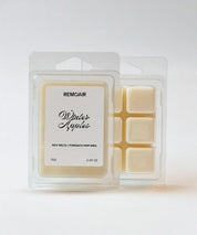Winter Apples ⎯ wax melts